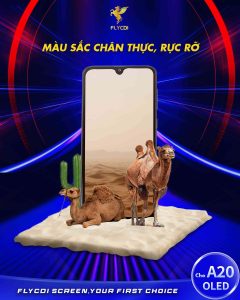 mau-sac-hien-thi-chan-thuc