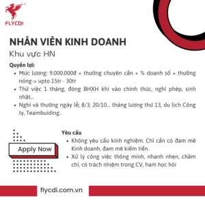 flycdi-tuyen-dung-nhan-vien-kinh-doanh-khu-vuc-hn