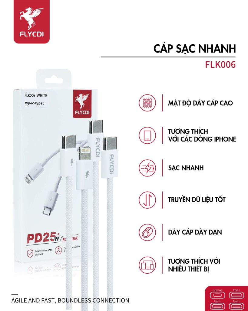 day-cap-sac-nhanh-25w-flycdi