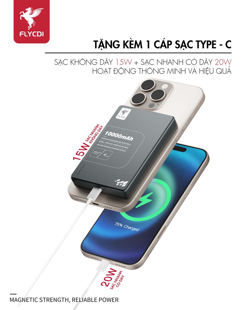 tang-kem-1-cap-sac-type-c